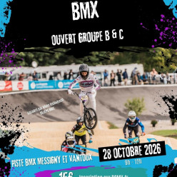 🚨 Stage Groupe B & C